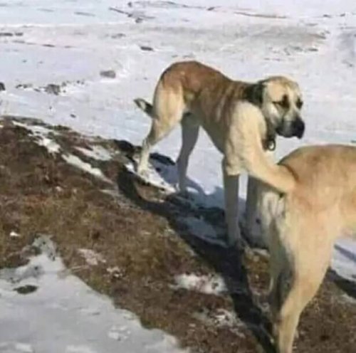 Look Twice (21 pics)