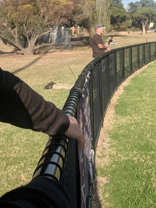 Look Twice (21 pics)