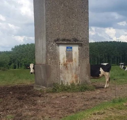 Look Twice (21 pics)