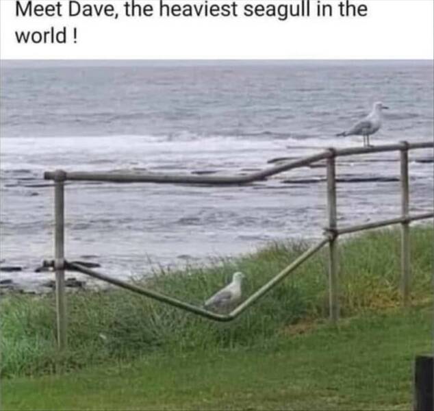 Daily Pictures. Part 2 (76 pics)