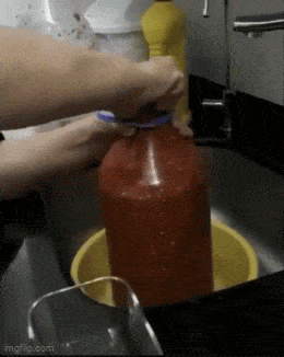 Acid GIFs, November 8 (25 gifs)