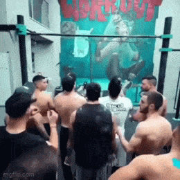 Acid GIFs, November 8 (25 gifs)