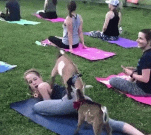 Acid GIFs, November 9 (25 gifs)