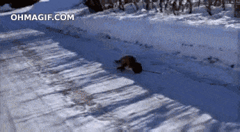 Acid GIFs, November 9 (25 gifs)