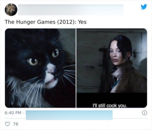 Movies That Have Cats In It (30 pics)