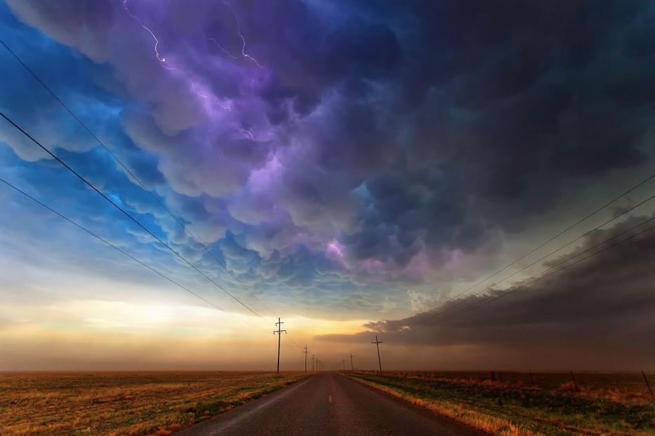 Amazing Nature (25 pics)