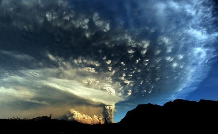 Amazing Nature (25 pics)