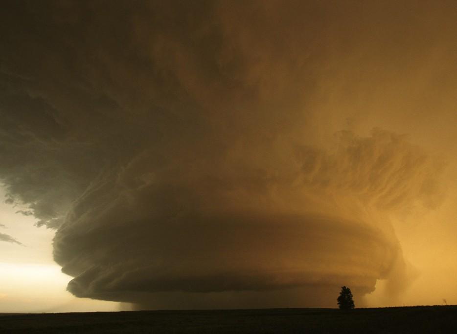 Amazing Nature (25 pics)