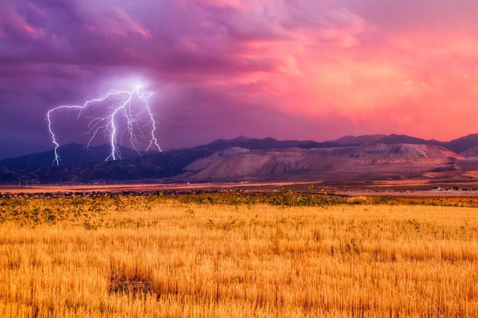 Amazing Nature (25 pics)
