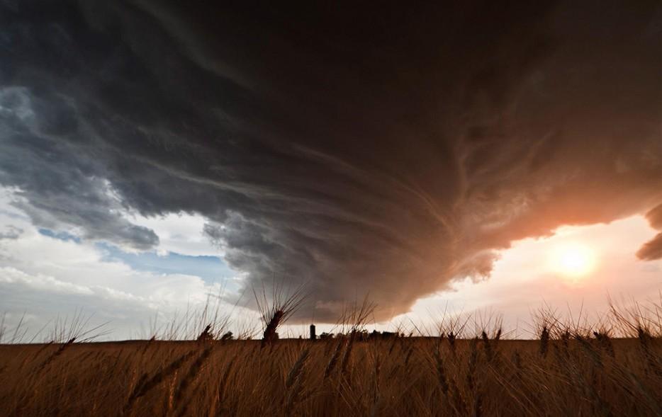 Amazing Nature (25 pics)