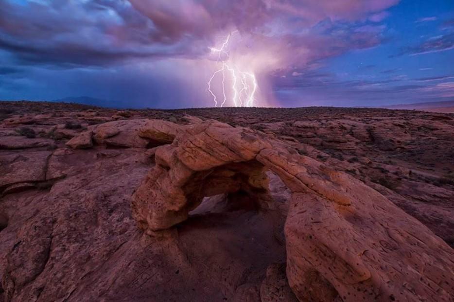 Amazing Nature (25 pics)