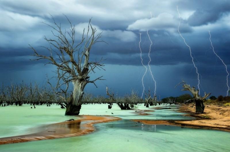 Amazing Nature (25 pics)