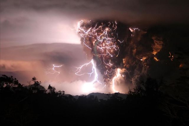 Amazing Nature (25 pics)