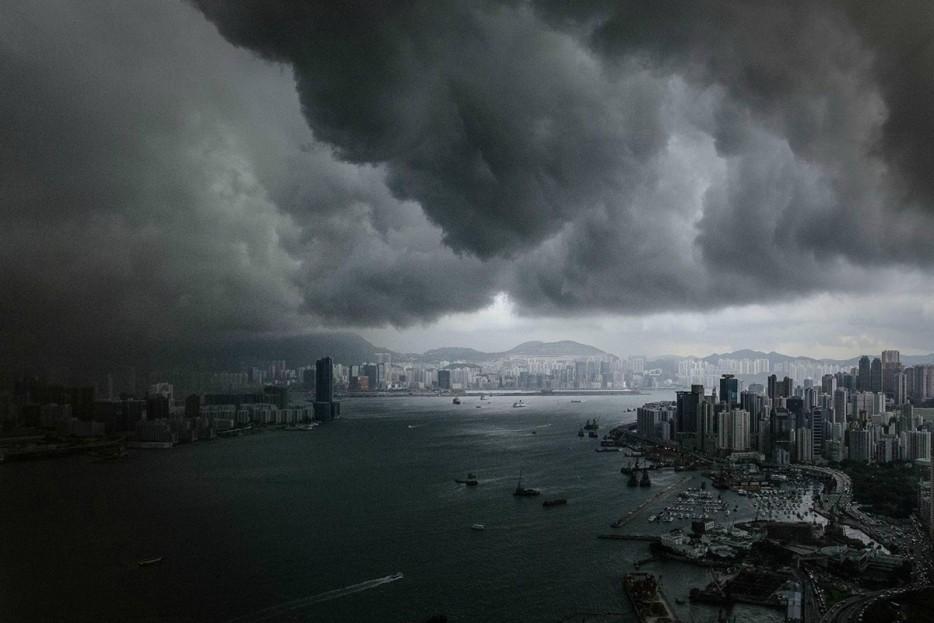 Amazing Nature (25 pics)