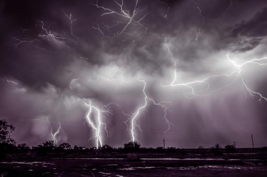 Amazing Nature (25 pics)