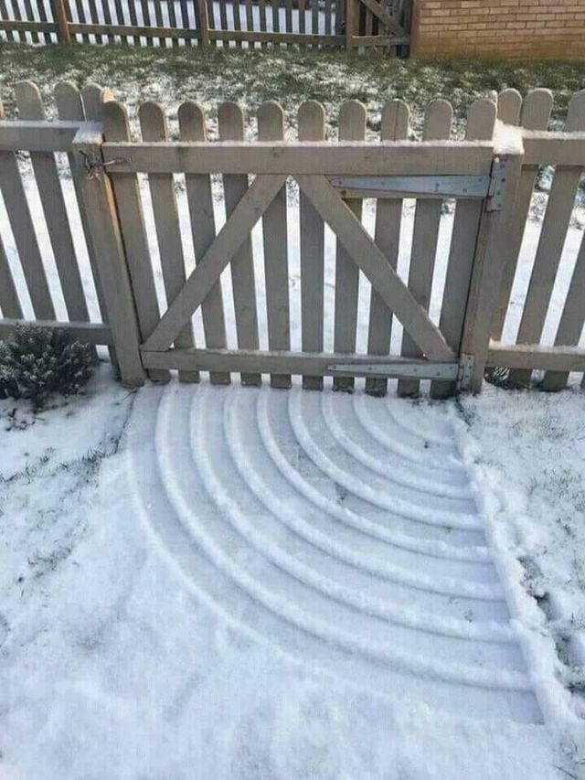 Photos For Perfectionists (23 pics)