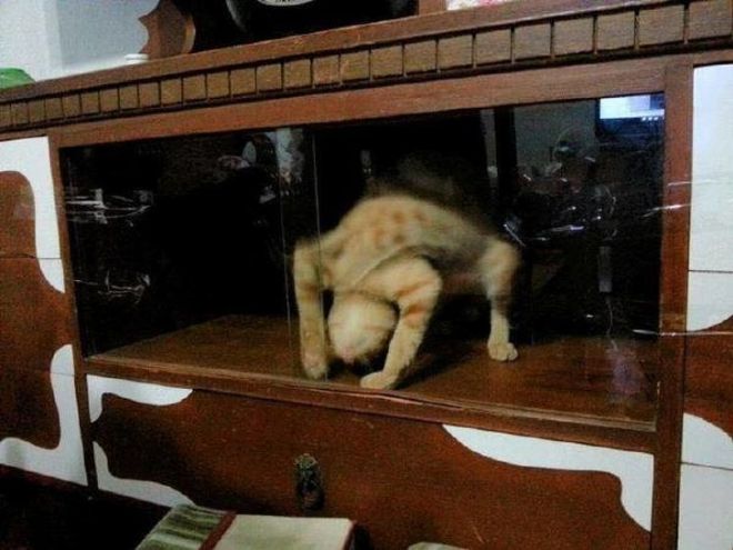 They Came To The Dark Side (23 pics)
