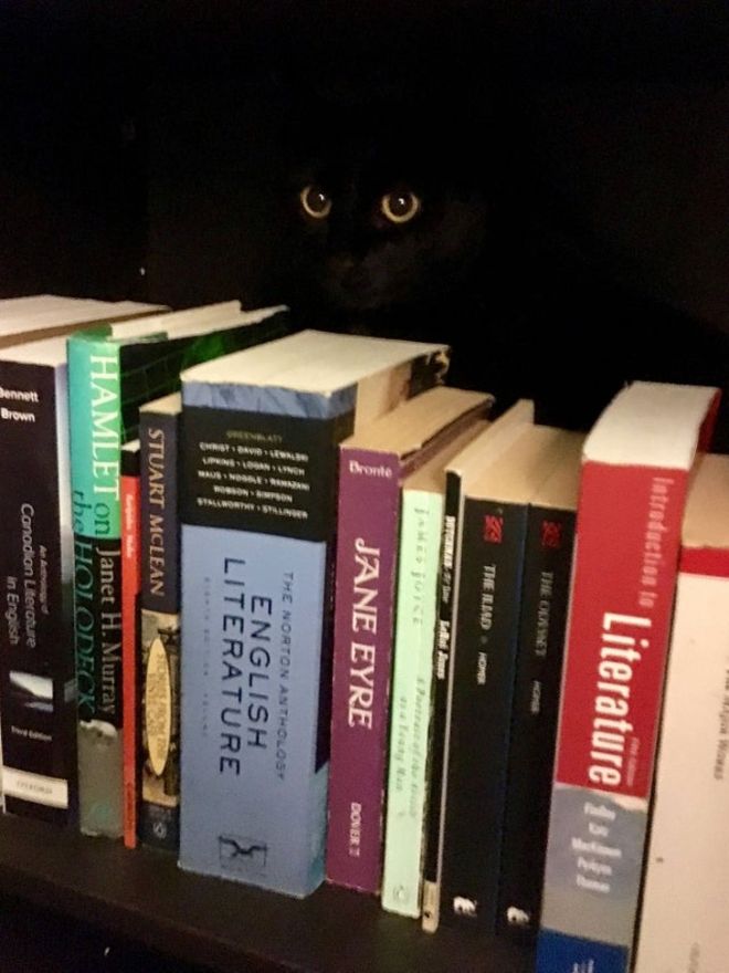 They Came To The Dark Side (23 pics)