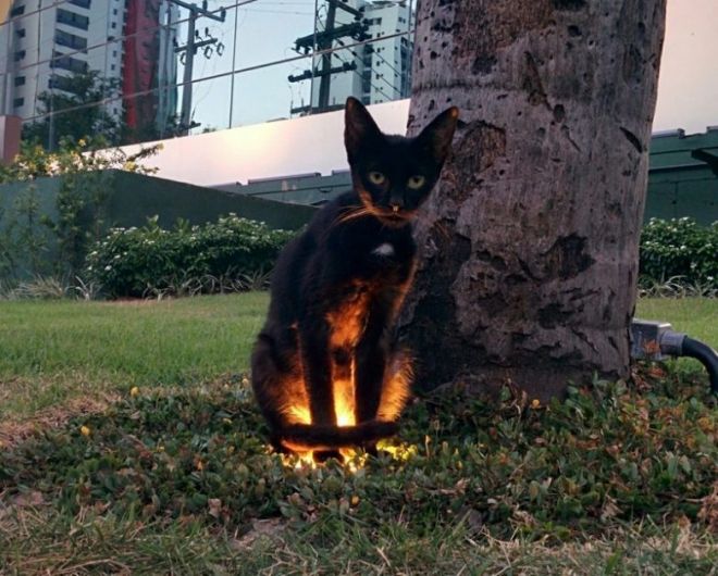 They Came To The Dark Side (23 pics)