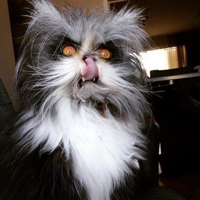 They Came To The Dark Side (23 pics)