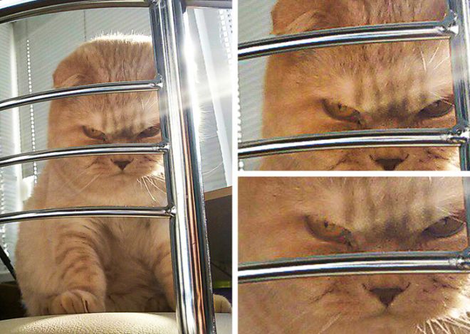 They Came To The Dark Side (23 pics)