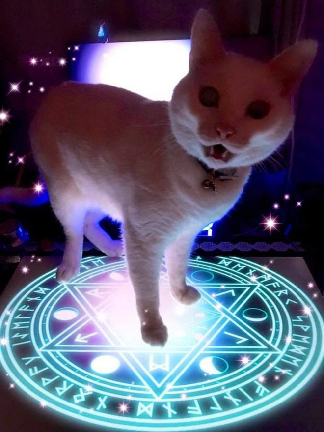 They Came To The Dark Side (23 pics)
