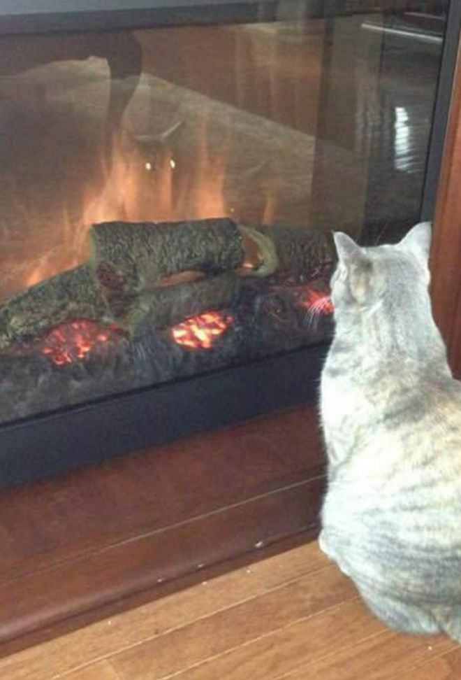 They Came To The Dark Side (23 pics)
