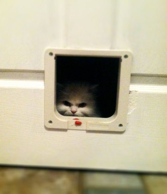 They Came To The Dark Side (23 pics)