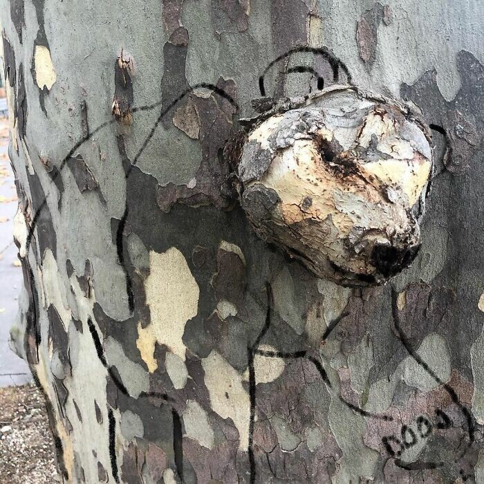 Unusual Street Art (29 pics)