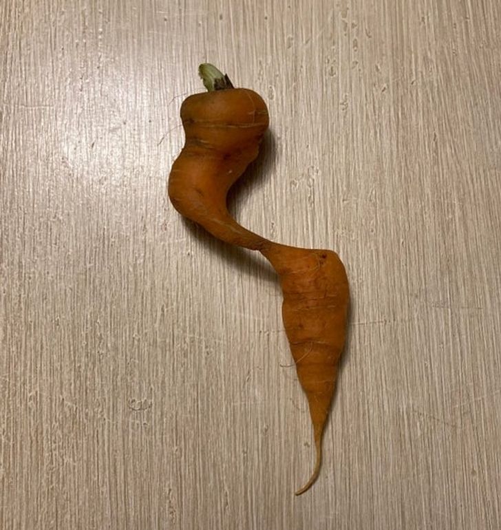 Unexpected Finds From Around The World (21 pics)