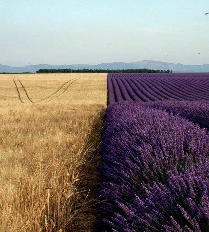 Unexpected Finds From Around The World (21 pics)