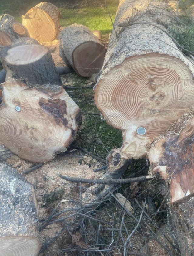 Unexpected Finds From Around The World (21 pics)