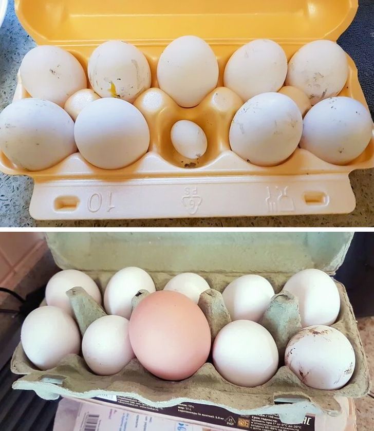 Unexpected Finds From Around The World (21 pics)
