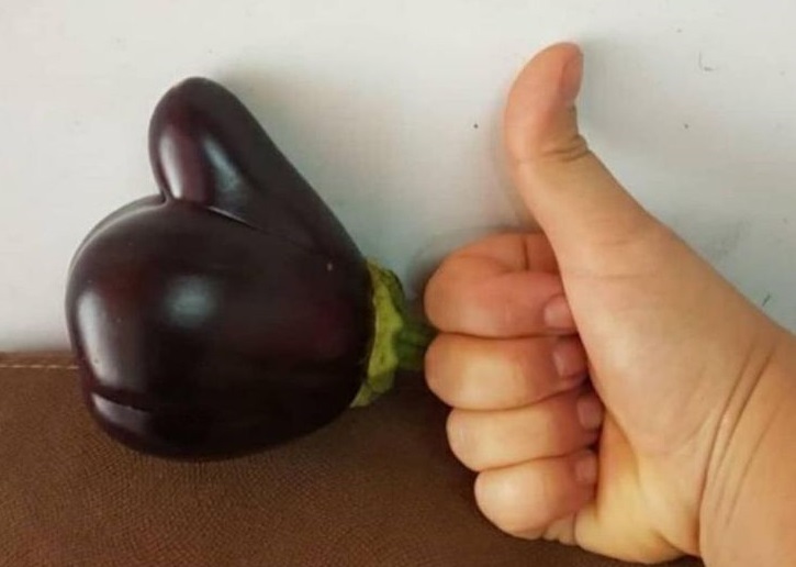 Unexpected Finds From Around The World (21 pics)