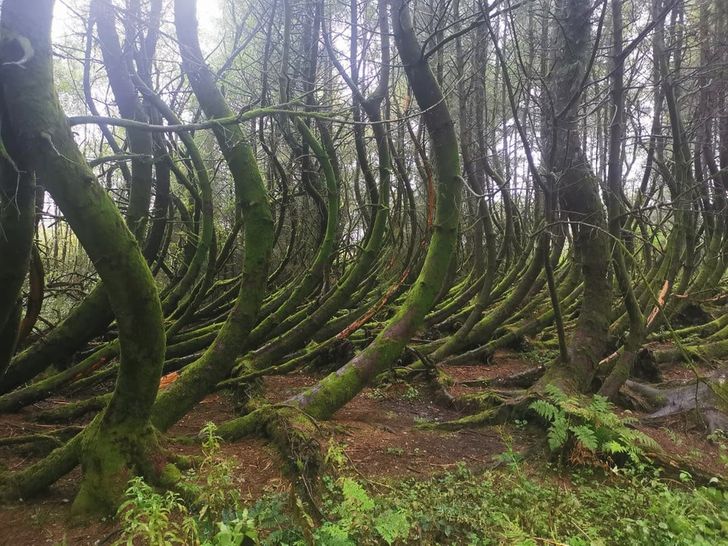 Unexpected Finds From Around The World (21 pics)