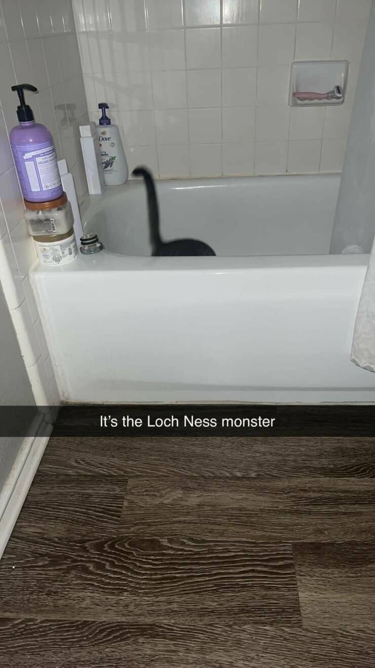 Daily Pictures. Part 1 (73 pics)