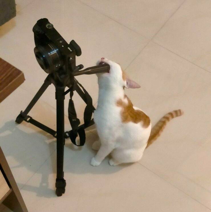 Daily Pictures. Part 1 (73 pics)