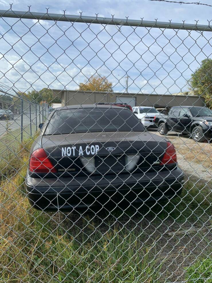 Daily Pictures. Part 2 (72 pics)