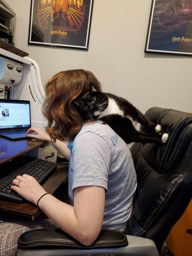 Pets Need Your Attention (20 pics)