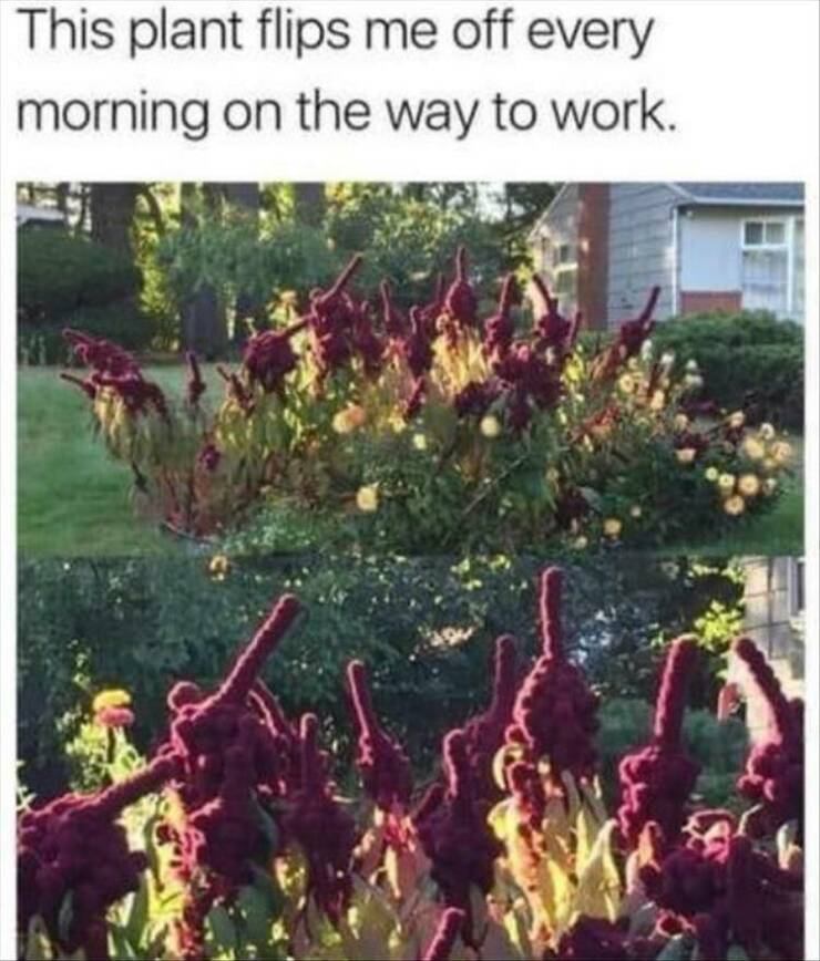 Daily Pictures. Part 2 (71 pics)