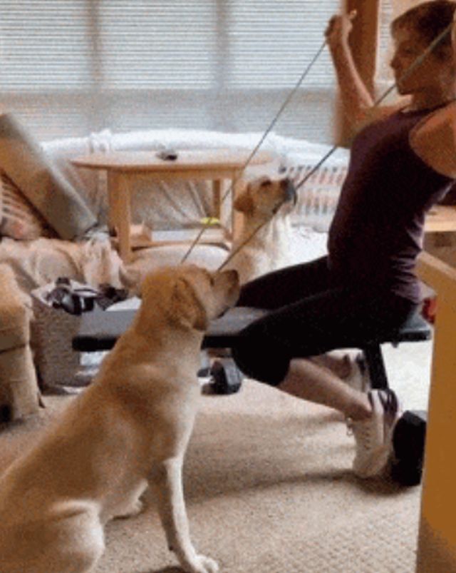Acid GIFs, November 17 (25 gifs)