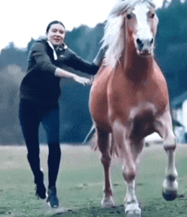 Acid GIFs, November 22 (25 gifs)
