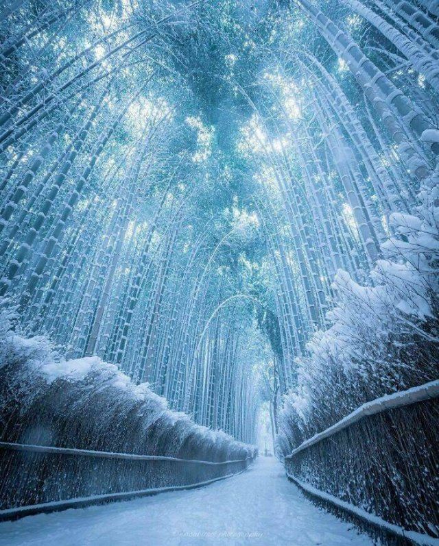 Amazing Photos From Around The World (18 pics)