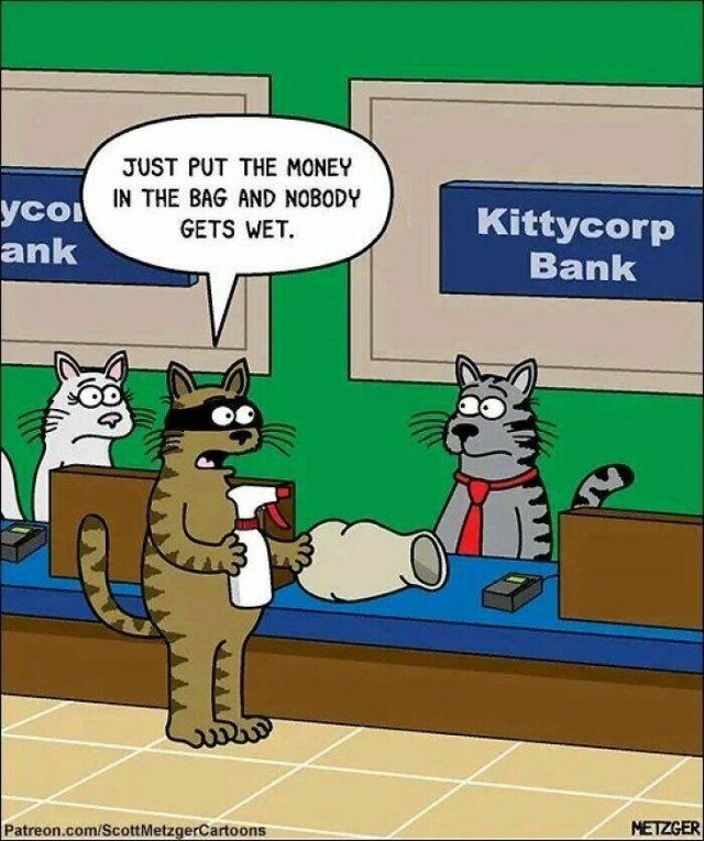 Funny Pictures And Photos (27 pics)