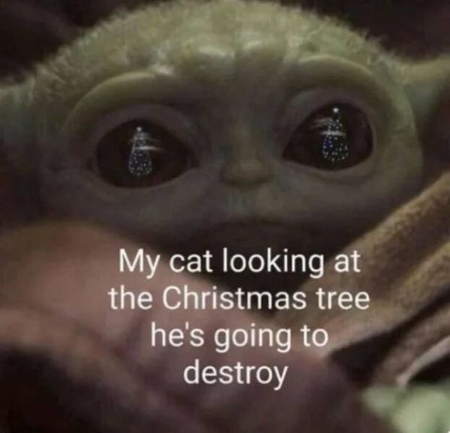Christmas Memes (27 pics)