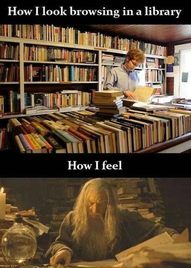 ''Lord Of The Rings'' Memes (22 pics)