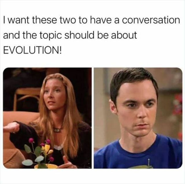 Memes From The "Friends" (15 pics)