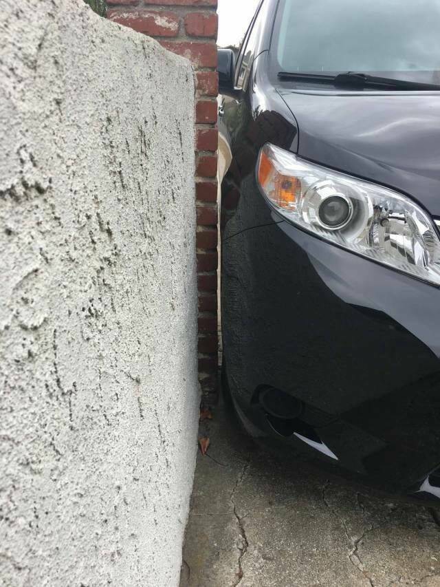Daily Pictures. Part 1 (71 pics)