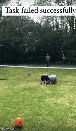 Acid GIFs, November 29 (25 gifs)