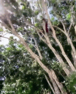Acid GIFs, November 29 (25 gifs)